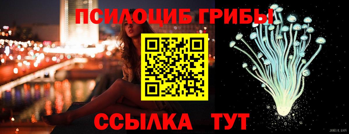 Псилоцибиновые грибы Psilocybine cubensis  Вход с VPN  Екатеринбург 